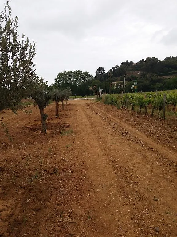 Gigaro Lägenhet La Croix-Valmer